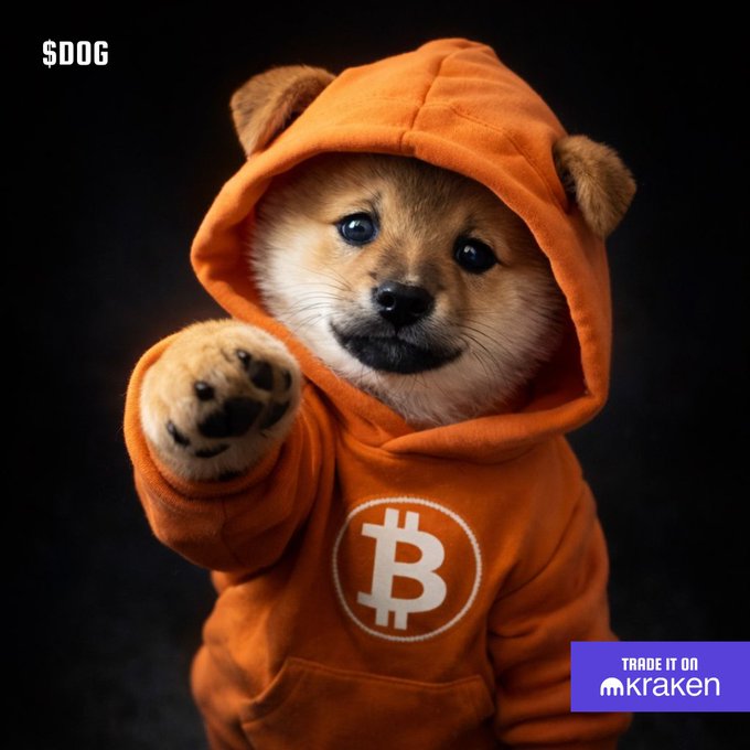 The image features a small brown dog wearing an orange hoodie with a Bitcoin symbol on it, standing against a black background. The text "trade it on" can be seen below the image.