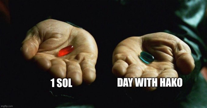 The image is a Matrix-style meme showing two hands holding pills: a red one labeled "1 SOL" and a blue one labeled "DAY WITH HAKO," referencing the famous "red pill/blue pill" choice to humorously suggest spending a day with someone named Hako is the more enriching option compared to one Solana (SOL) cryptocurrency.