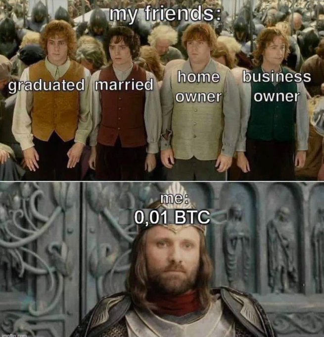 A Lord of the Rings meme comparing 'my friends' who have 'graduated', 'married', 'home owner', and 'business owner' status (the four hobbits) to 'me' who has '0,01 BTC' (King Aragorn).