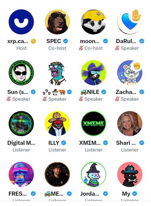 A screenshot of a digital interface displaying a grid of user profile icons with names like 'xrp.ca...', 'SPEC', 'moon...', and 'DaRul...', categorized as Host, Co-host, Speaker, or Listener.