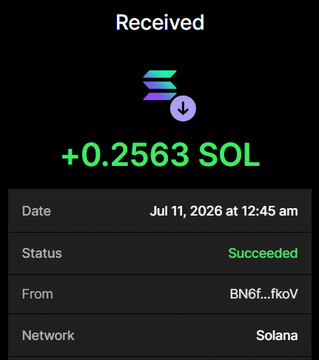Screenshot confirming receipt of +0.2563 SOL on Solana (transaction succeeded July 11, 2026), supporting the post's claim of spending 0.256 SOL to purchase $BHOODIES tokens.