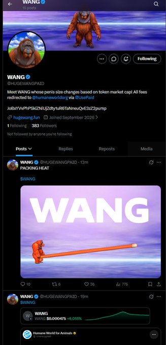 Screenshot of an X (Twitter) profile for 'WANG' (@HUGEWANGPAID) displaying posts about a meme token $WANG, including a 'PACKING HEAT' image showing the WANG character with an oversized penis graphic.