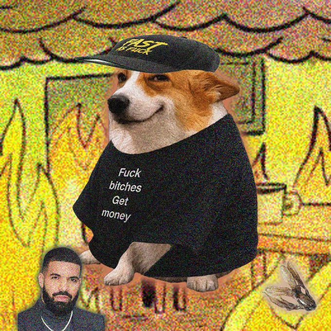 A digital meme-style illustration features a corgi wearing a black cap and a t-shirt reading 'Fuck bitches Get money,' with a cutout of Drake's face in the bottom left corner against a colorful cartoon background.