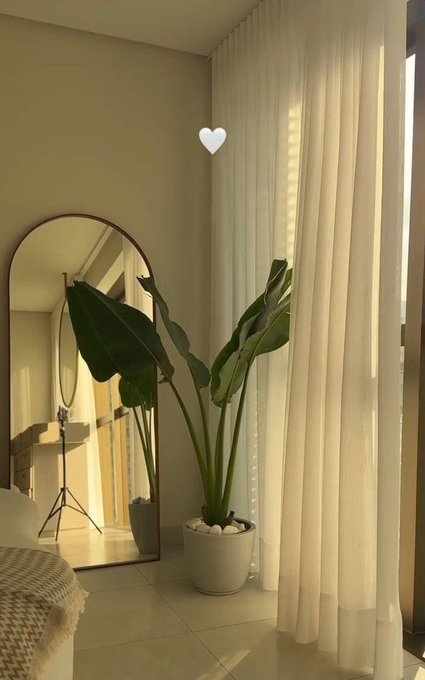 A serene interior corner featuring a tall potted plant beside an arched floor mirror, with sheer white curtains letting in soft light.