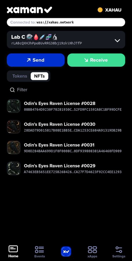 The image shows the Xaman Wallet app interface displaying a collection of "Odin's Eyes Raven License" NFTs (#0028, #0029, #0030, #0031) on the Xahau network (wss://xahau.network), illustrating the wallet's new support for the Xahau NFT/URI Token standard with on-chain metadata.
