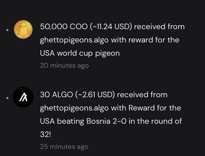 The image shows two cryptocurrency reward notifications: 50,000 COO (~11.24 USD) for a USA World Cup pigeon NFT and 30 ALGO (~2.61 USD) for the USA beating Bosnia 2-0, both received from ghettopigeons.algo. These notifications visually confirm the post's claim that the Ghettopigeons NFTs automatically pay out crypto rewards when teams win World Cup matches.