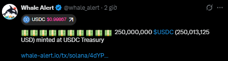 A tweet from "Whale Alert @whale_alert" reports that 250,000,000 USDC (250,013,125 USD) was minted at USDC Treasury, with USDC valued at $0.99987.
