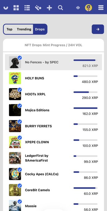 The image shows a screenshot from XRP Cafe displaying the "Top Mints 24H" rankings on the XRP Ledger, with HOLY BUNS sitting at #2 with 480 XRP in volume, behind "No Fences - by SPEC" at 821 XRP. This visually supports the post's excitement about HOLY BUNS' strong showing in the 24-hour mint rankings, alongside other featured collections like HOOTS XRPL, Mojica Editions, and BURRY FERRETS.