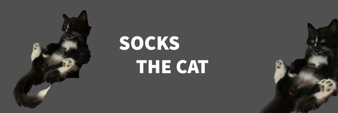 A gray banner featuring a black and white tuxedo cat shown twice in playful poses on either side, with the text "SOCKS THE CAT" centered in white capital letters—serving as the new banner image for the Solana token $SOCKS on Moby.