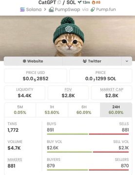 A screenshot of a cryptocurrency trading interface for 'CatGPT' token showing price $0.2852, market cap $2.8K, and volume data with an orange cat wearing a beanie at the top.
