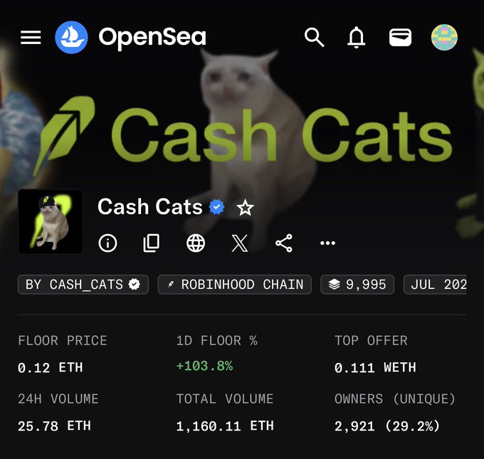 A screenshot of the OpenSea NFT marketplace page for the "Cash Cats" collection shows a floor price of 0.12 ETH with a +103.8% 1D floor increase, 24H volume of 25.78 ETH, and 9,995 items in the collection launched in July 2024. The image humorously relates to the post's "pussy out" joke by showcasing cat-themed NFTs with a white cat mascot, suggesting the poster is referencing the feline collection while implying the NFT market is currently stagnating despite this collection's recent floor price surge.