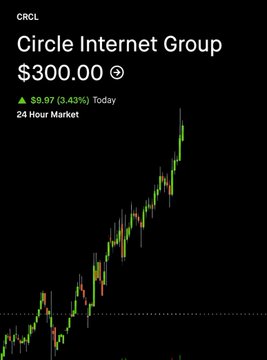 A stock chart of Circle Internet Group ($CRCL) showing a price of $300.00, up $9.97 (3.43%) today, with a 24-hour candlestick display illustrating the dramatic upward trend referenced in the bullish post about holding past $100.