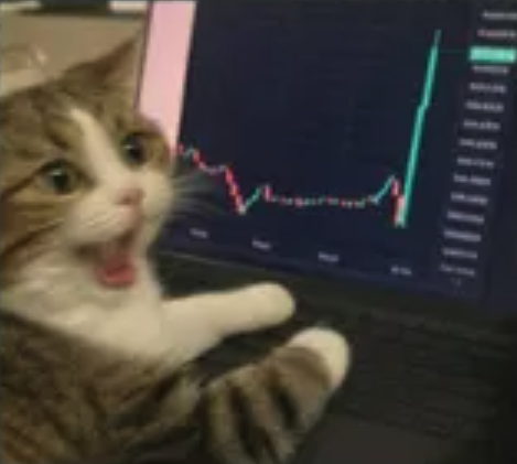 A shocked-looking cat sits at a laptop displaying a sharp upward spike on a candlestick trading chart, perfectly capturing the surprise of traders seeing sudden gains amid deep market trenches this week.