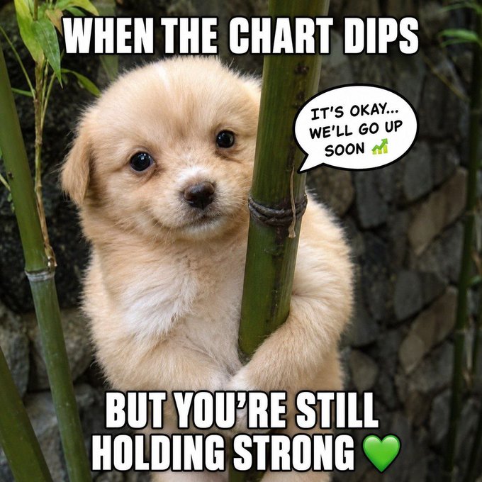 A fluffy golden puppy clings to a bamboo stalk with a reassuring speech bubble reading "It's okay... we'll go up soon 📈," captioned with "WHEN THE CHART DIPS" at the top and "BUT YOU'RE STILL HOLDING STRONG 💚" at the bottom. The image perfectly captures the post's message about $GAEJUKI, using the persevering "bamboo dog" mascot as a symbol of resilience during market dips, encouraging holders to stay strong during the climb toward mainnet.
