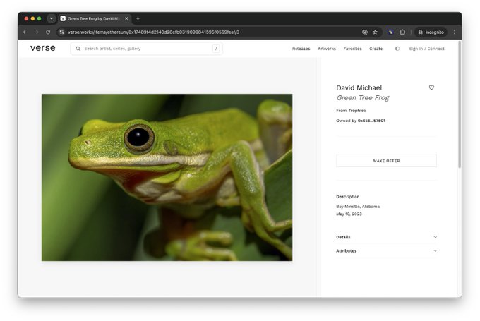 A screenshot of the Verse digital art platform showing a listing titled 'Green Tree Frog' by David Michael, featuring a close-up photo of a green tree frog, with a 'MAKE OFFER' button and details noting it was from Trophies and owned by address 0x655...379c1.