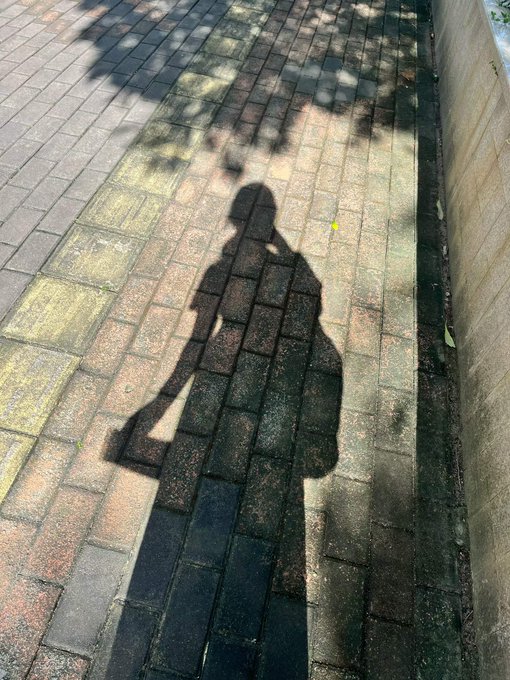 A person's shadow stretches across a brick pathway beside a stone wall on a sunny day. The image reflects the post's theme of appreciating life's quiet, everyday moments worth recording.
