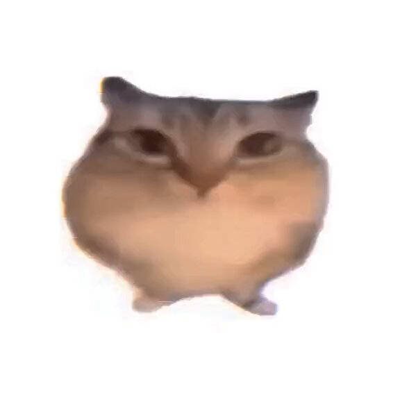None