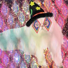 A fluffy pastel-colored cat wears a witch hat decorated with stars and moon symbols, set against a glittery purple and pink background with mystical eye motifs.