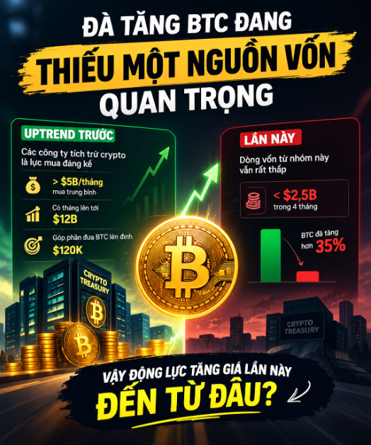 A Vietnamese-language infographic about Bitcoin titled 'ĐÃ TĂNG BTC ĐANG THIẾU MỘT NGUỒN VỐN QUAN TRỌNG,' comparing treasury company data showing >$5B/month in previous uptrends versus <$2B over 4 months currently.
