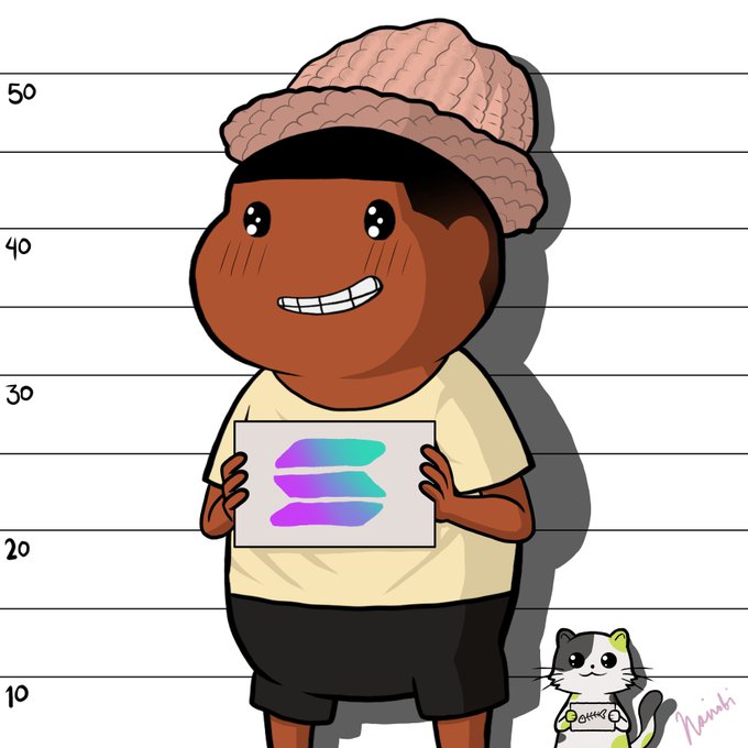 A cartoon illustration of a smiling dark-skinned child wearing a pink beanie and a t-shirt that says 'DORK', standing against a height chart background, holding a sign with the Solana logo. A small cartoon cat sits to the right.