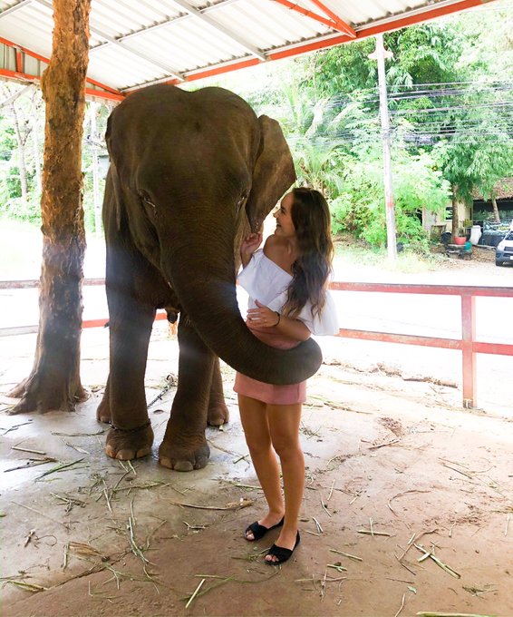 A woman in a white off-shoulder top and pink shorts stands close to a large elephant under a covered area, with the elephant's trunk resting against her.