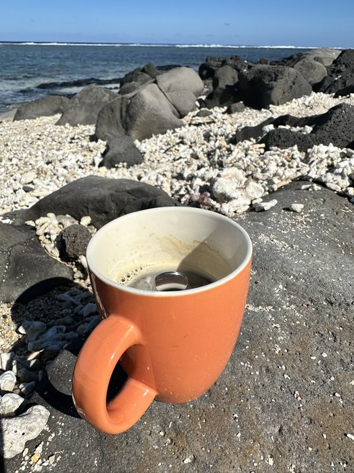 An orange ceramic mug containing a dark beverage sits on a concrete ledge overlooking a rocky, shell-strewn beach and the ocean.