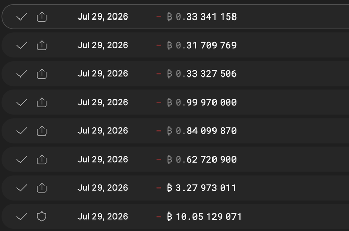A screenshot of a transaction list all dated Jul 29, 2026, showing various cryptocurrency amounts in red with negative values, including one large transaction of 10.05129071.