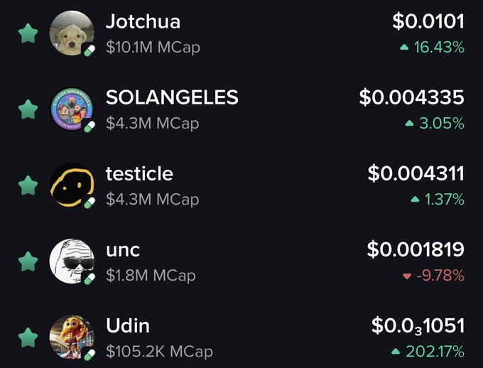 A dark-themed cryptocurrency portfolio tracker displays five meme coin holdings: $JOTCHUA ($10.1M MCap, +16.43%), $SOLANGELES ($4.3M, +3.05%), $TESTICLE ($4.3M, +1.37%), $UNC ($1.8M, -9.78%), and $UDIN ($105.2K, +202.17%), all marked with green stars showing four are in gains while $UNC is the sole red performer.