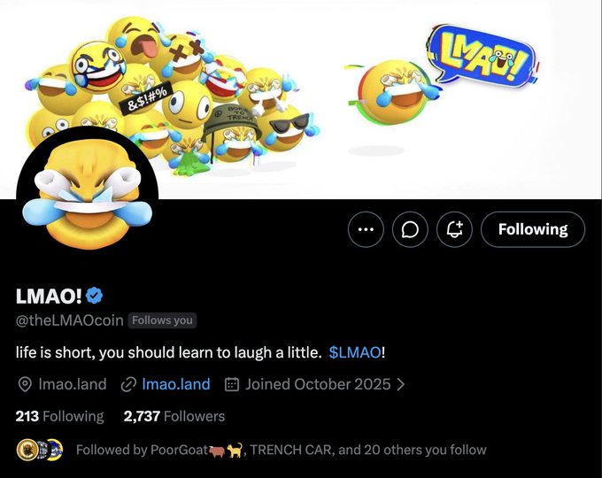 A verified X (Twitter) profile page for "LMAO!" (@theLMAOcoin) showing laughing emoji mascots, a bio reading "life is short, you should learn a little $LMAO!", 2,737 followers, and a website link to lmao.land—the account being hyped in the accompanying post as a potential multi-billion dollar meme coin.