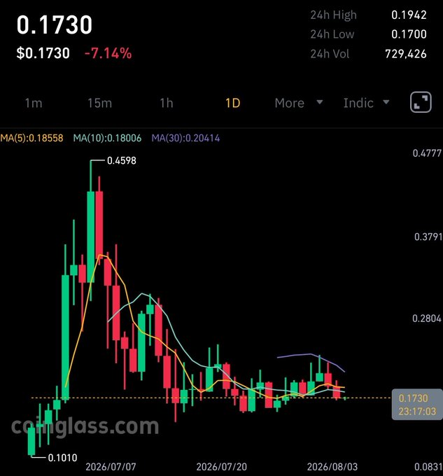 A cryptocurrency or stock candlestick chart from CoinGlass shows a price of 0.1730, down 7.14%, with a 24-hour volume of 729,426.
