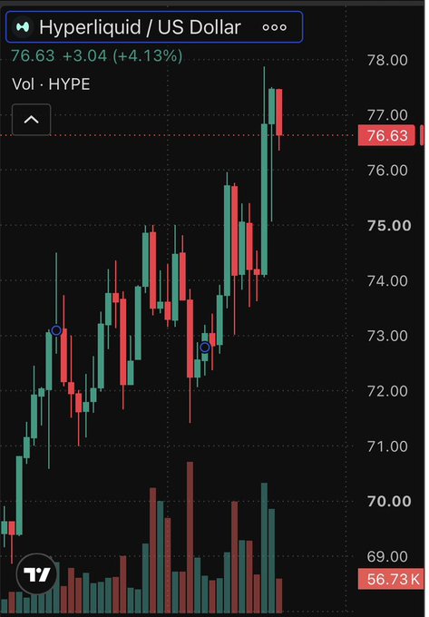 A TradingView candlestick chart displays the Hyperliquid / US Dollar (HYPE) pair at 76.63 with a +4.13% increase, showing a general uptrend with green and red price bars.