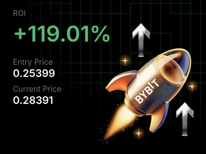 A cryptocurrency promotional graphic displays "BYBIT" on a rocket with ROI of +119.01%, an Entry Price of 0.25399, and a Current Price of 0.28391 against a dark grid background.