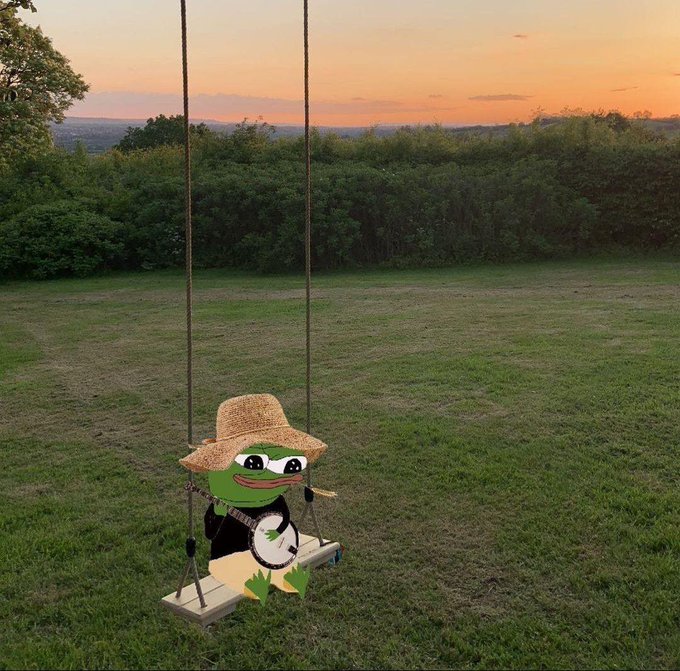 A Pepe the Frog character wearing a straw hat and playing a banjo on a swing in a grassy field at sunset.