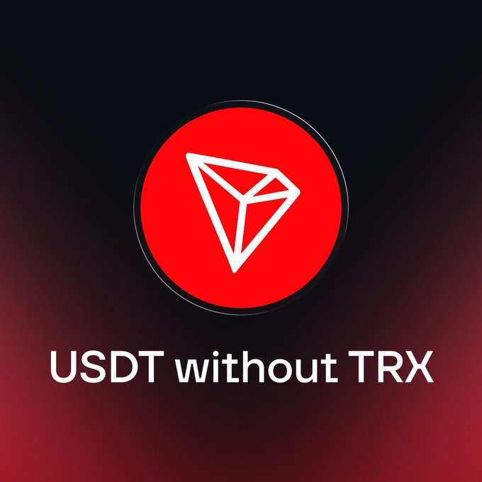 A graphic with a red circular logo containing a white geometric shape, set against a dark background, with the text 'USDT without TRX' at the bottom.