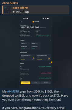 A 'Zora Alerts' tweet about $HMSTR with a TradingView chart showing HMSTR/USD at 219,235,343.202, discussing price growth from $50k to $100k and back to $70k.