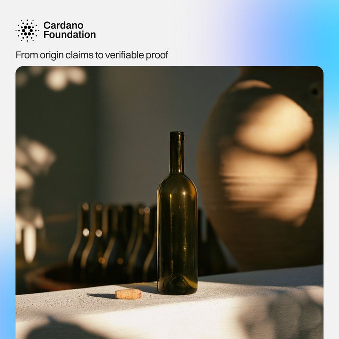 A wine bottle sits on a sunlit surface beside a clay vessel, beneath the text "Cardano Foundation" and "From origin claims to verifiable proof"—visually anchoring the message of blockchain-verified wine provenance, where 30+ Georgian wineries documented over 100,000 bottles on Cardano to combat the €2.8B counterfeiting problem in European wine and spirits.