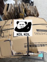 A photo of stacked cardboard boxes labeled 'KOL KOL' with a panda logo, shipped via EMS with Chinese and Japanese text indicating daily delivery.