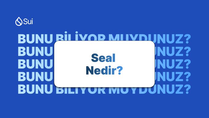 A blue graphic with the Sui logo and repeating text 'BUNU BİLİYOR MUYDUNUZ?' in the background, with a white box overlay containing the text 'Seal Nedir?'.