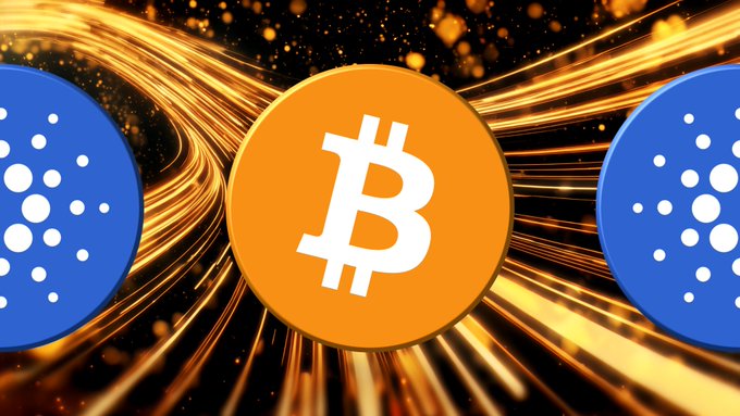 Focus on what's in the image and how it is related to the provided caption. The image features three coins with a Bitcoin logo prominently displayed at the center of each coin, surrounded by white dots indicating cryptocurrency transactions or tokens. 

The captions above the coins talk about Bitcoin DeFi (decentralized Financing) and how people have already invested in it. This implies that these coins are associated with a decentralized finance project called Bitcoin DeFi, where digital assets like Bitcoins can be leveraged to trade and manage financial transactions without the need for centralized intermediaries.