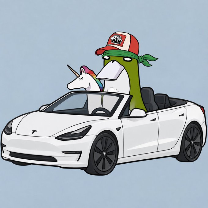 A cartoon illustration shows a green character wearing a 'HAM' cap and a unicorn riding in a white Tesla convertible against a blue background.