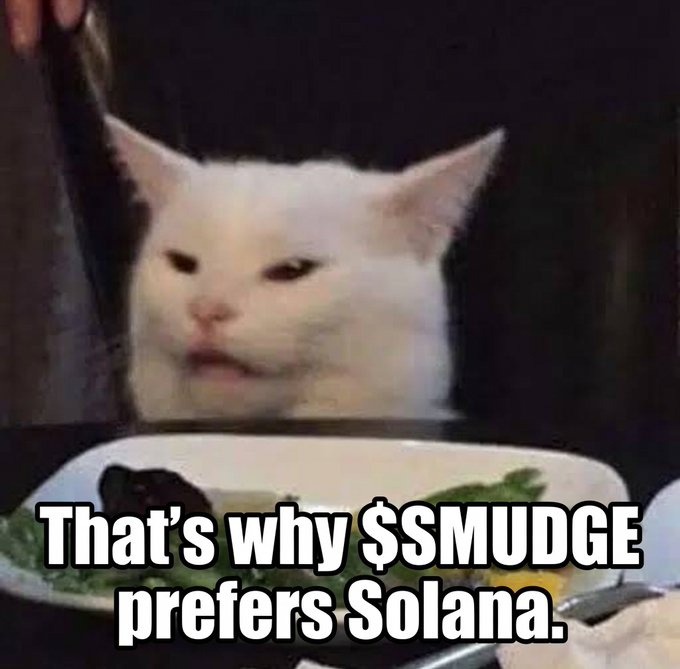 A meme of a white cat looking unimpressed at a salad, with the caption 'That's why $SMUDGE prefers Solana.'