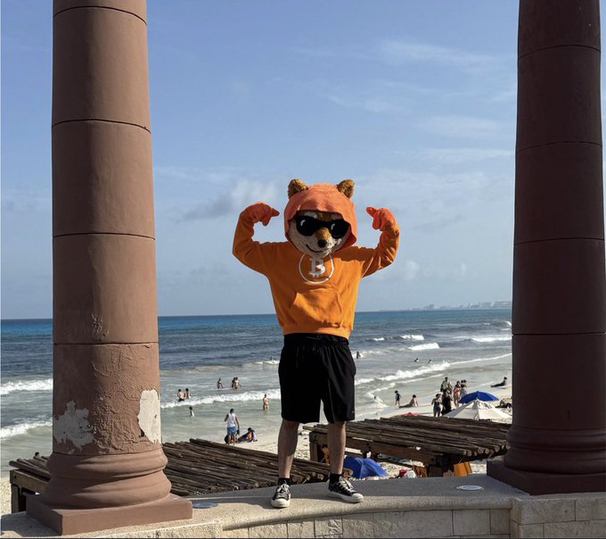 A person wearing an orange bear hoodie and sunglasses poses with flexed arms on a stone ledge overlooking a beach, framed by two large columns.