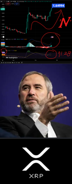 A trading chart showing XRP's monthly MACD indicator with red circles highlighting four historical golden crosses (2014.9, 2017.5, 2021.4, 2024.11) and corresponding massive percentage gains, displayed above an image of a gray-haired man speaking and the XRP logo, illustrating the post's claim that XRP's latest MACD golden cross signals potential for further significant price increases.