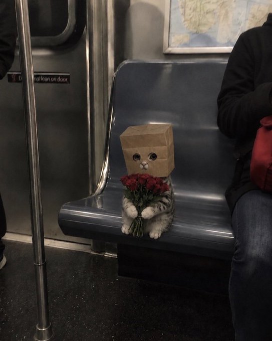 A cat sits on a subway train seat wearing a brown paper bag over its head with eye holes cut out, while holding a bouquet of red carnations, next to a passenger.