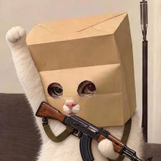 A cat wearing a cardboard box on its head and holding an AK-47 strikes a triumphant pose with one paw raised, embodying the meme's message of conviction and zero-tolerance for "beta plays," as it confidently represents the $ZCAT token's tough, no-nonsense approach to crypto trading.