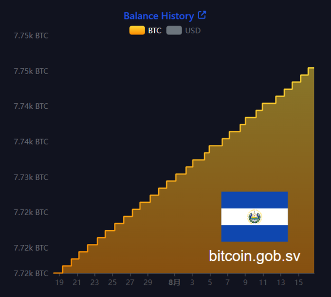 A "Balance History" chart showing El Salvador's Bitcoin holdings steadily climbing from approximately 7.72k BTC on the 19th to 7.75k BTC by mid-August, illustrated with the Salvadoran flag and the watermark "bitcoin.gob.sv." The graph visually supports the claim of consistent daily purchases, depicting a sovereign nation's relentless BTC accumulation strategy under President Bukele.