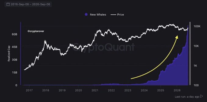 A CryptoQuant chart from @cryptorover spanning 2016-September 2026 shows Bitcoin's price (right axis, reaching ~100K) plotted against the realized cap of new whale wallets (left axis, up to ~60B), with a yellow arrow highlighting a dramatic surge in whale accumulation from 2023 onward—visually reinforcing the claim that whales are buying Bitcoin at unprecedented levels ahead of a major move.