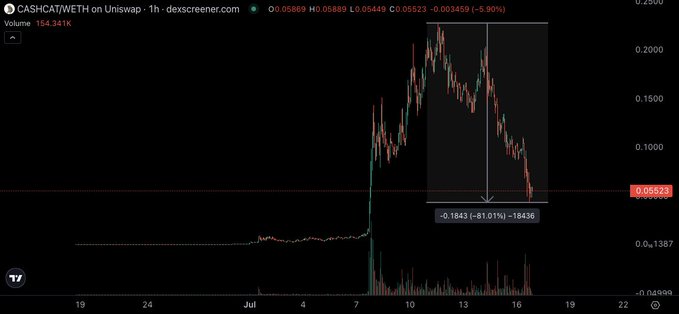 A TradingView 1-hour chart of CASHCAT/WETH on Uniswap shows a steep -81.01% decline (-0.1843) from its peak around $0.2350 down to $0.05523, illustrating the post's cautionary tale about chasing meme coins after they've already pumped, with the vertical white arrow highlighting the dramatic drawdown on what is otherwise a newly launched, low-volume token (154.241K).