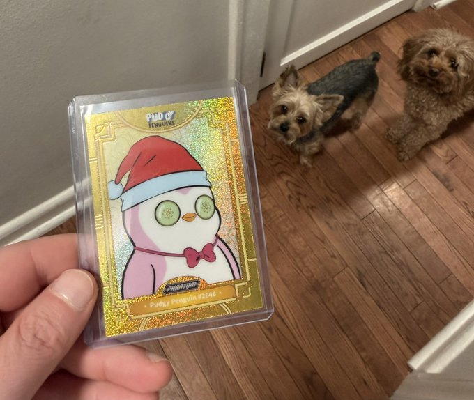 A hand holds up a gold Pokémon trading card featuring 'Pudgy Penguin' (#2688), with two small Yorkshire Terrier-type dogs watching from a hardwood floor in the background.