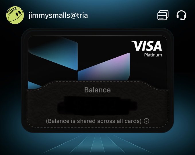 The image features a black Visa credit card with a balance feature, which allows users to share their balances across all of their cards. The card has a unique design that includes a picture of a person's face along with the text "balance". This design element is likely intended to make the card more visually appealing and memorable for its users.